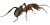 Gr. 182