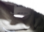 Preview: Polartechose Gr. 86/92 Jako-o beige