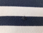 Preview: Feinstrickpullover Gr. 36/38 Tommy Hilfiger blau/weiß mit V-Ausschnitt