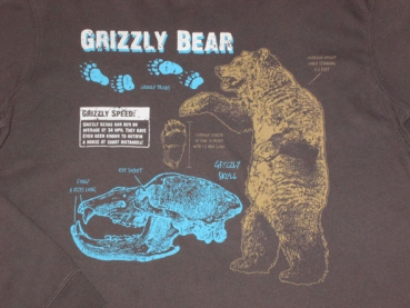 Langarmshirt Gr. 164 Lands'end braun Grizzly Bear