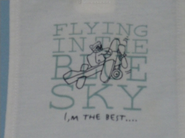 T-Shirt Gr. 80/86 Bob der Bär/ blau/weiß mit Flugzeug