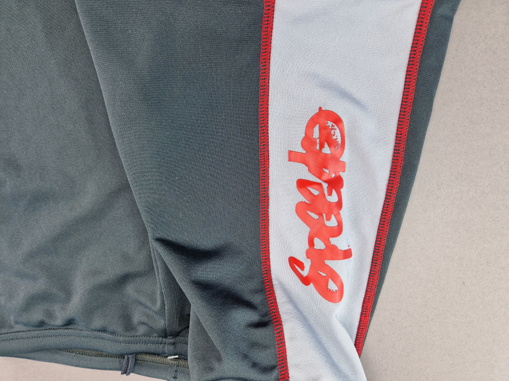 Badeshose Gr. 164 Speedo grau endurance *Zwillinge*