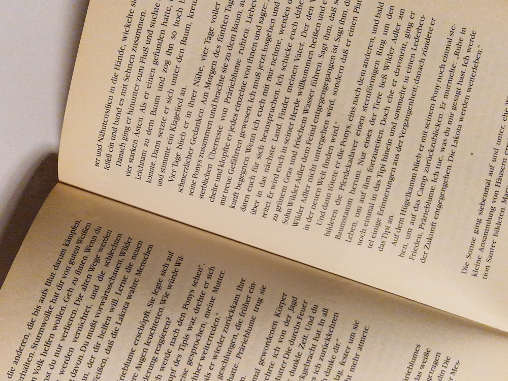 Die Kinder des Windes – Stephanie Grace Whitson