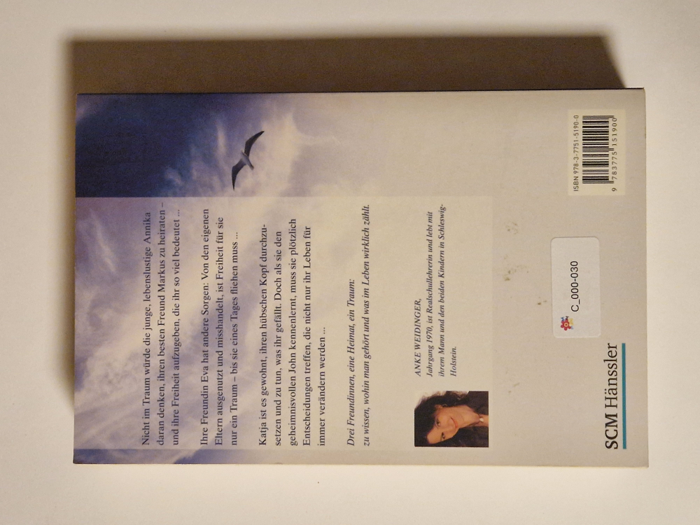 Ein Meer voller Träume – Anke Weidinger