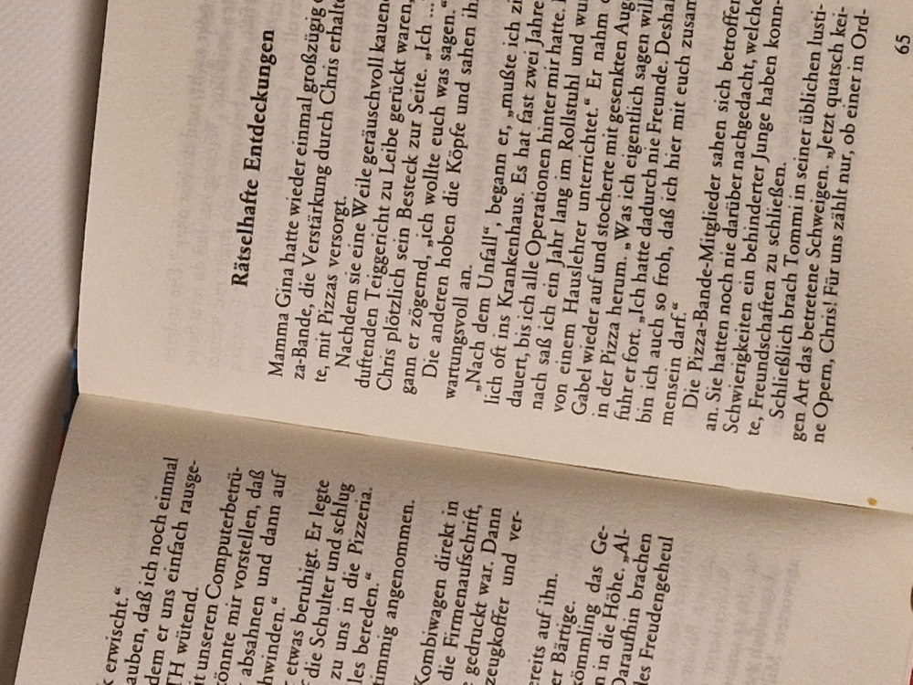 Wenn alle Pizzas strahlen oder Das Computerfieber – Pizza-Bande