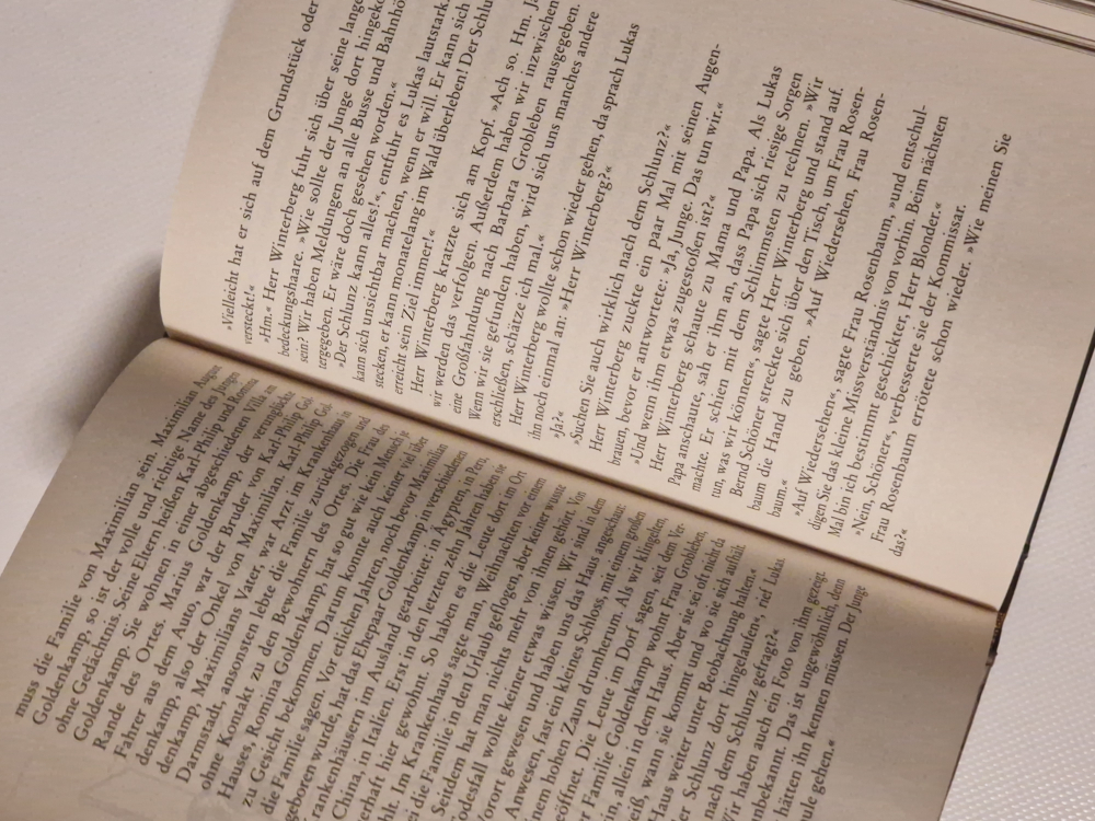 Der Schlunz und das letzte Geheimnis – Harry Voß