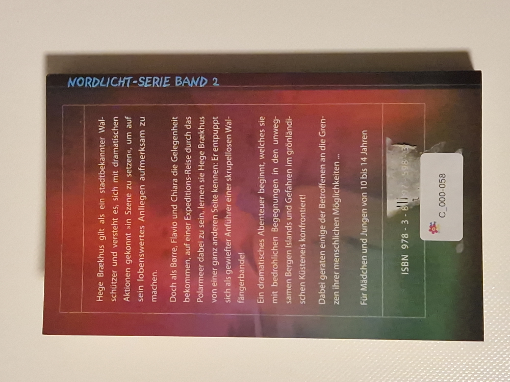 Nordlicht-Serie Band 2 – Borre und die Walfängerbande – Holger Klaewer