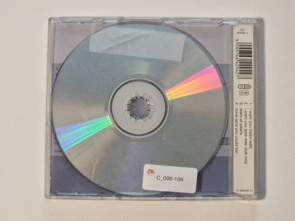 Savage garden I want you