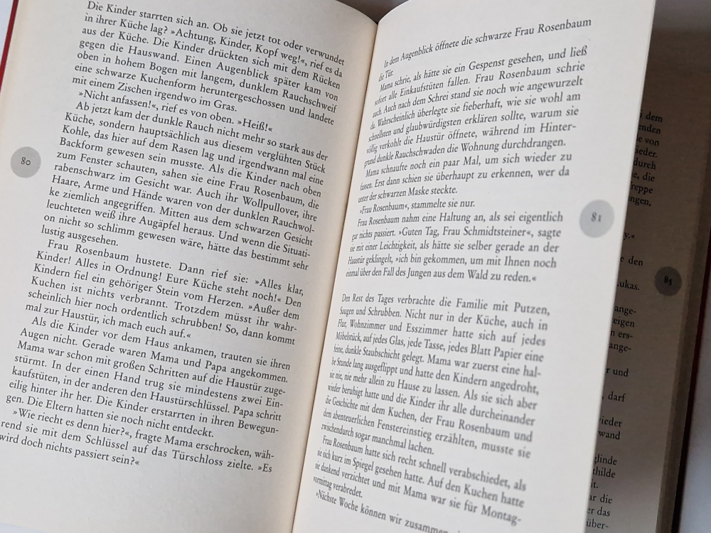 Der Schlunz – Harry Voß