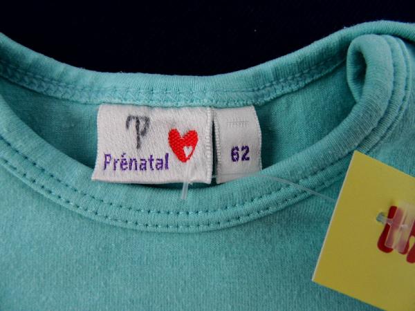 Stretchshirt Gr. 56/62 Prenatal hellblau Familie