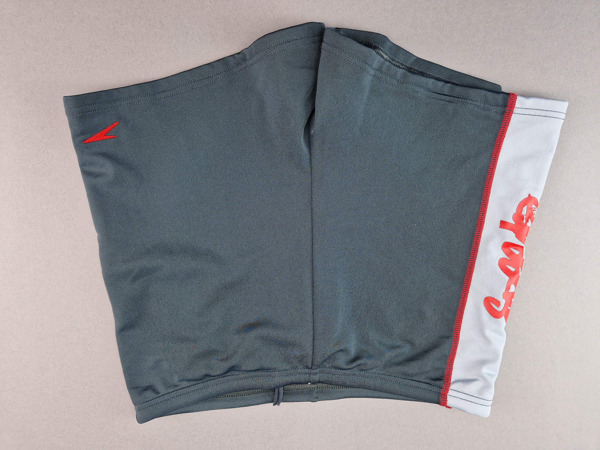 Badeshose Gr. 164 Speedo grau endurance *Zwillinge*