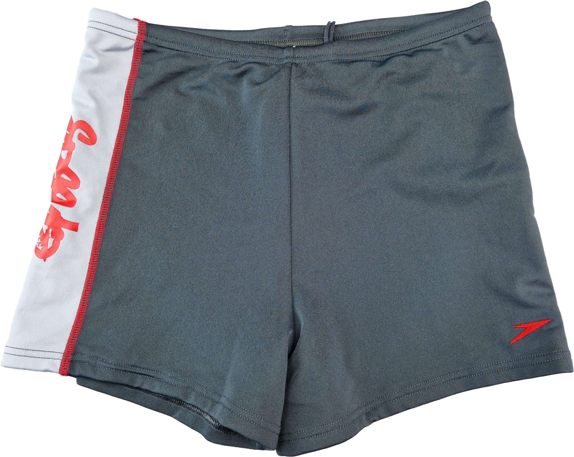 Badeshose Gr. 164 Speedo grau endurance *Zwillinge*