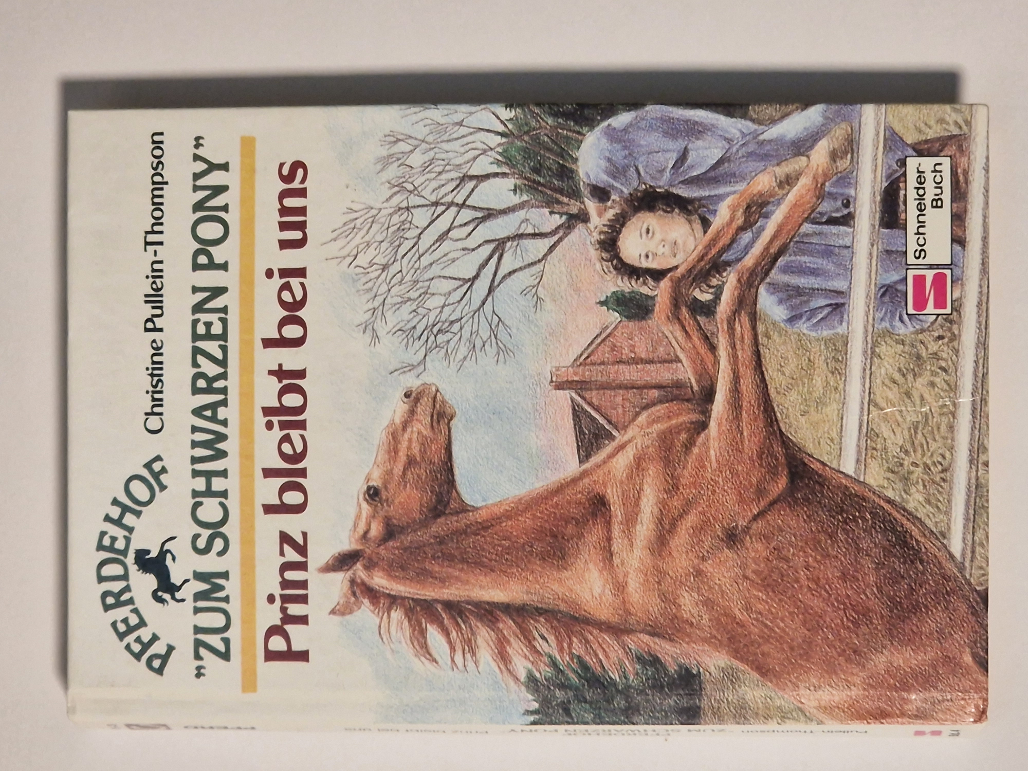 Pferdehof Zum schwarzen Pony – Prinz bleibt bei uns