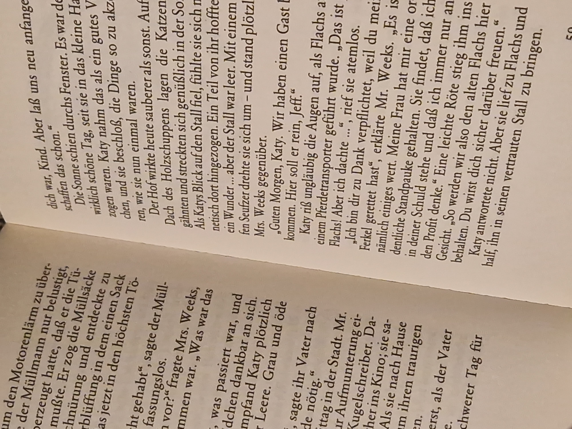 Bilder, die lebendig werden – Pferdegeschichten – Jane Ayres