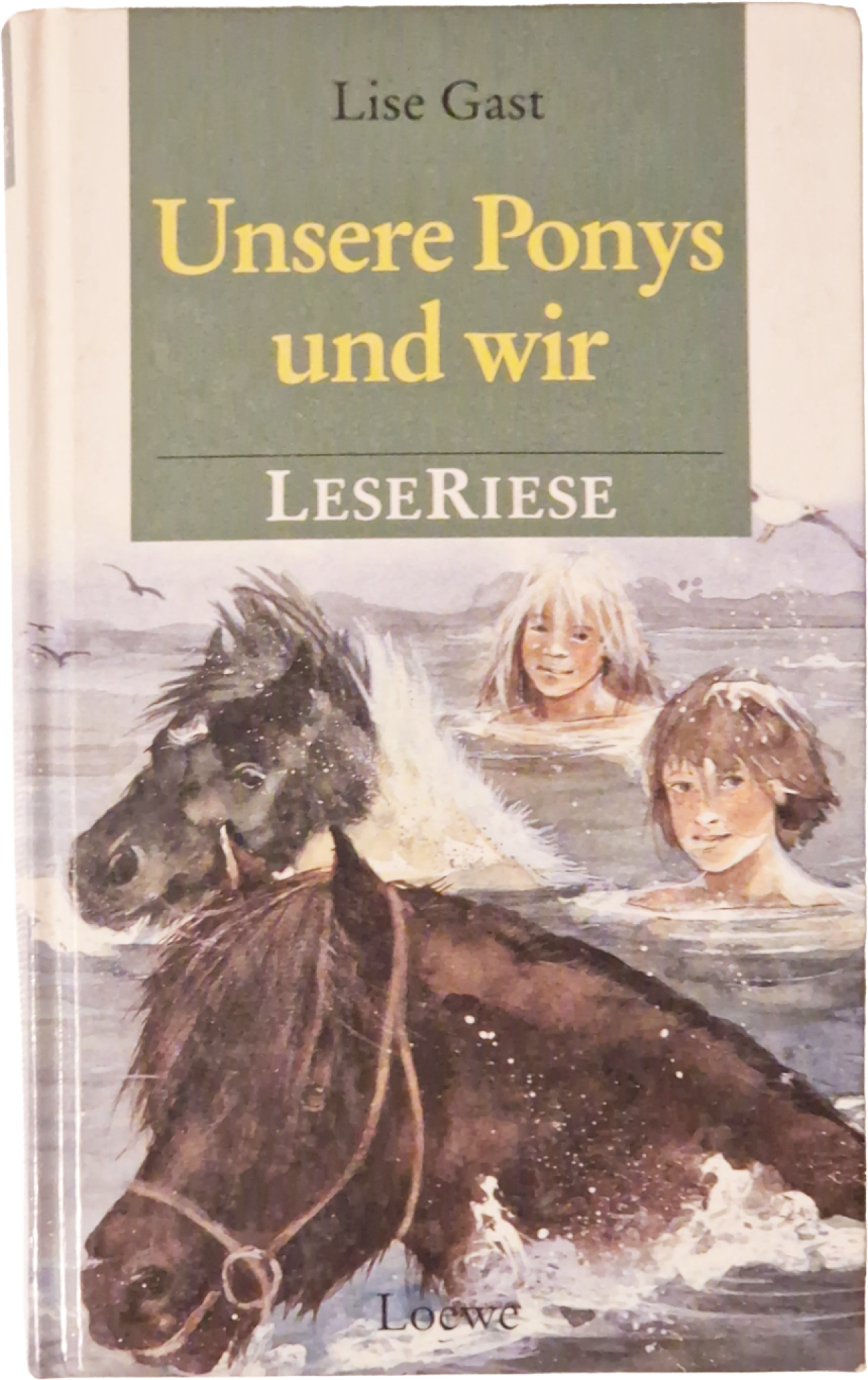 Unsere Ponys und wir – LeseRiese – Lise Gast