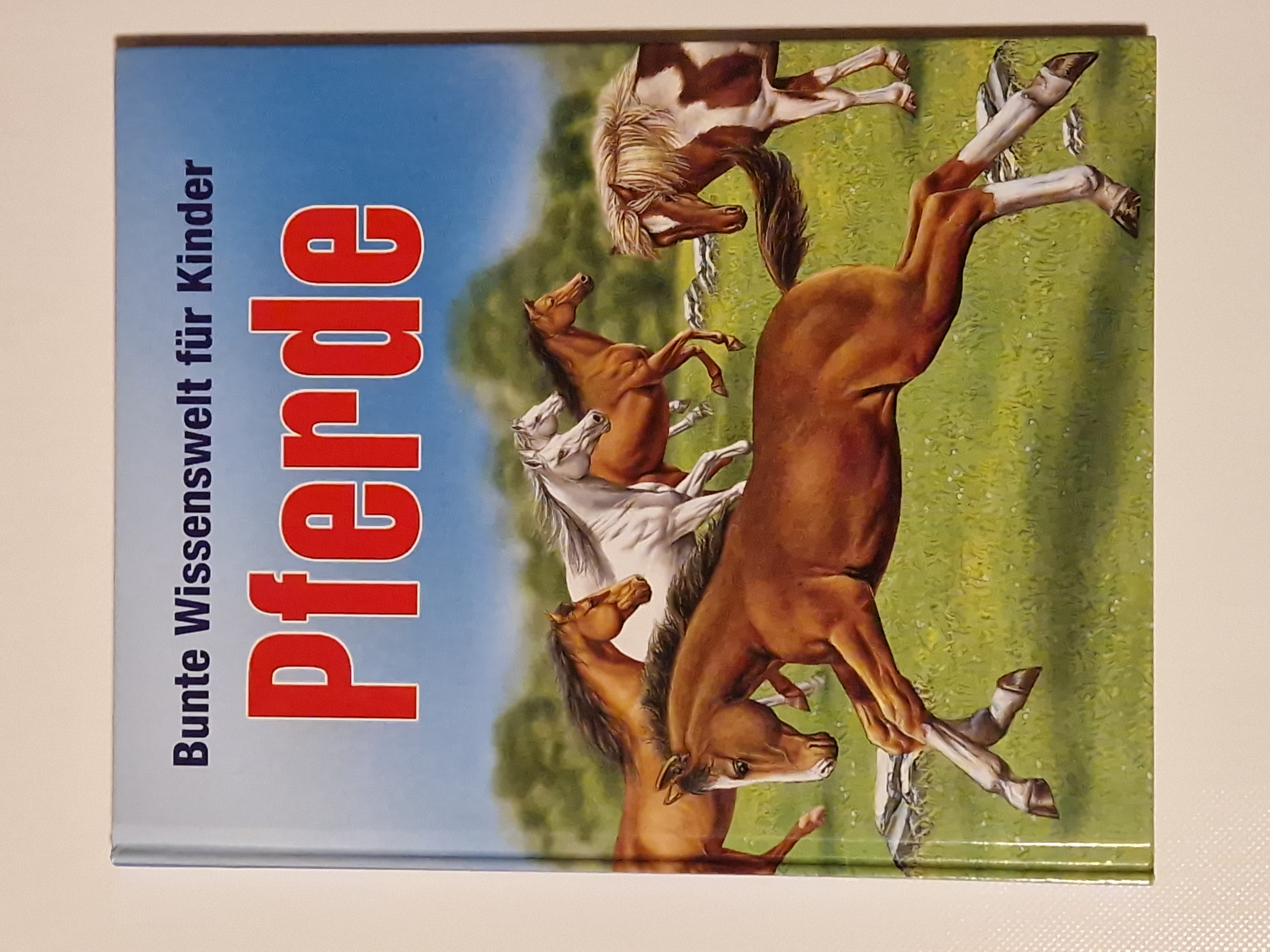 Pferde – Bunte Wissenswelt für Kinder