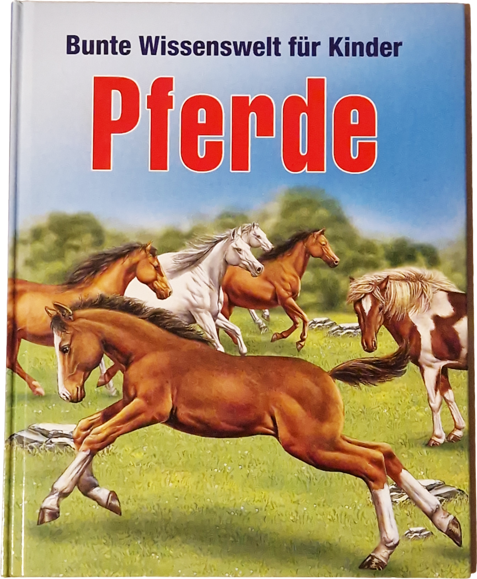 Pferde – Bunte Wissenswelt für Kinder
