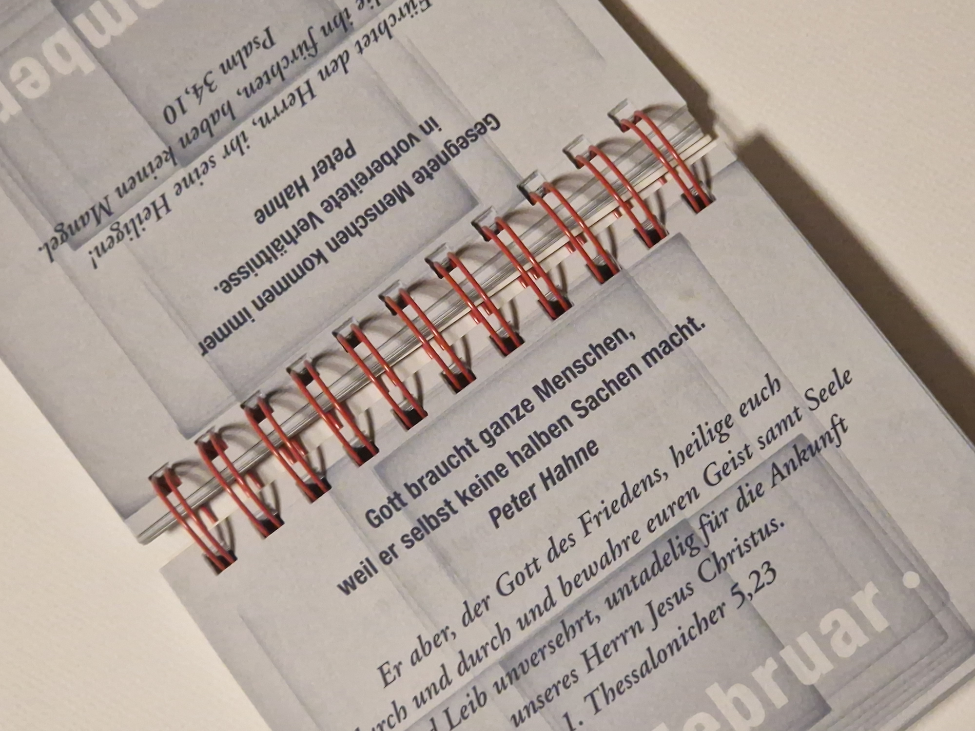 Ein guter Tag – 366 Texte von Peter Hahne und Bibelworte