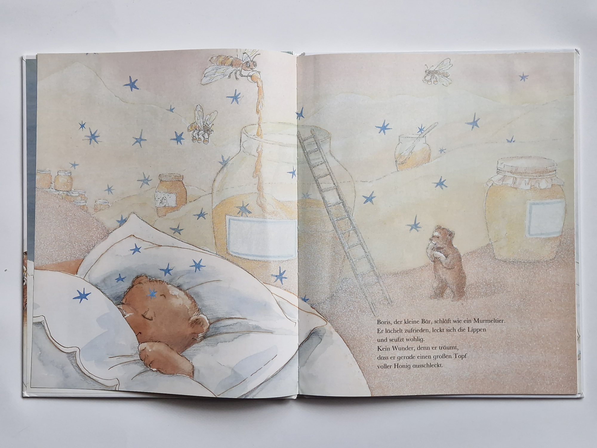 Wann kommt der Frühling, kleine Maus? – Sylvie Auzary-Luton