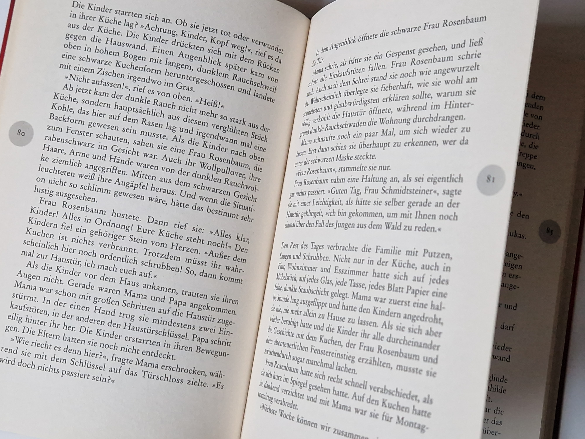 Der Schlunz – Harry Voß