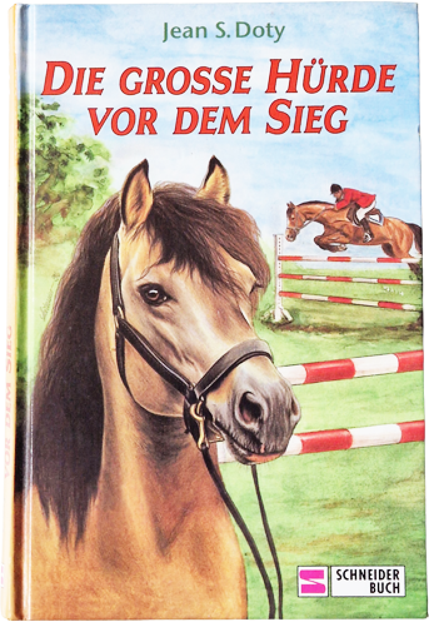 Die Grosse Hürde vor dem Sieg – Jean S. Doty