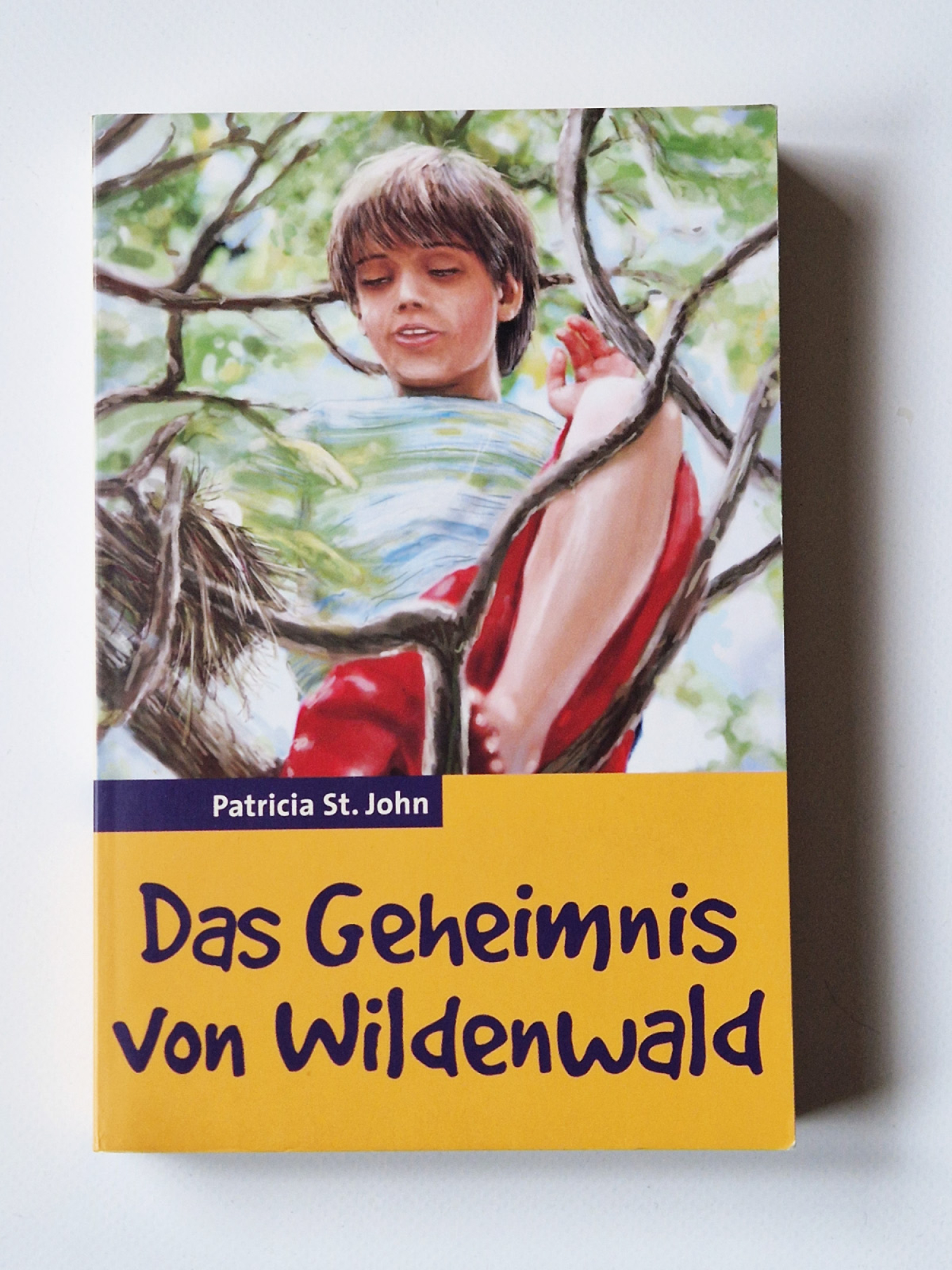 Das Geheimnis von Wildenwald – patricia St. John