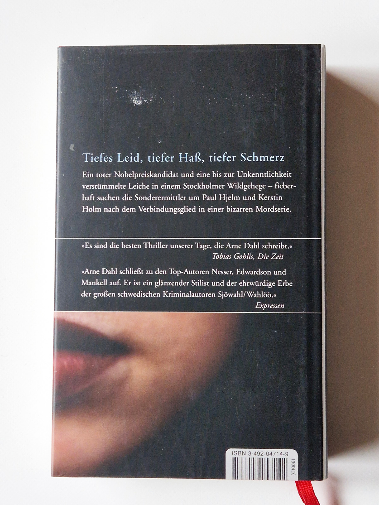 Arne Dahl – Tiefer Schmerz – Kriminalroman