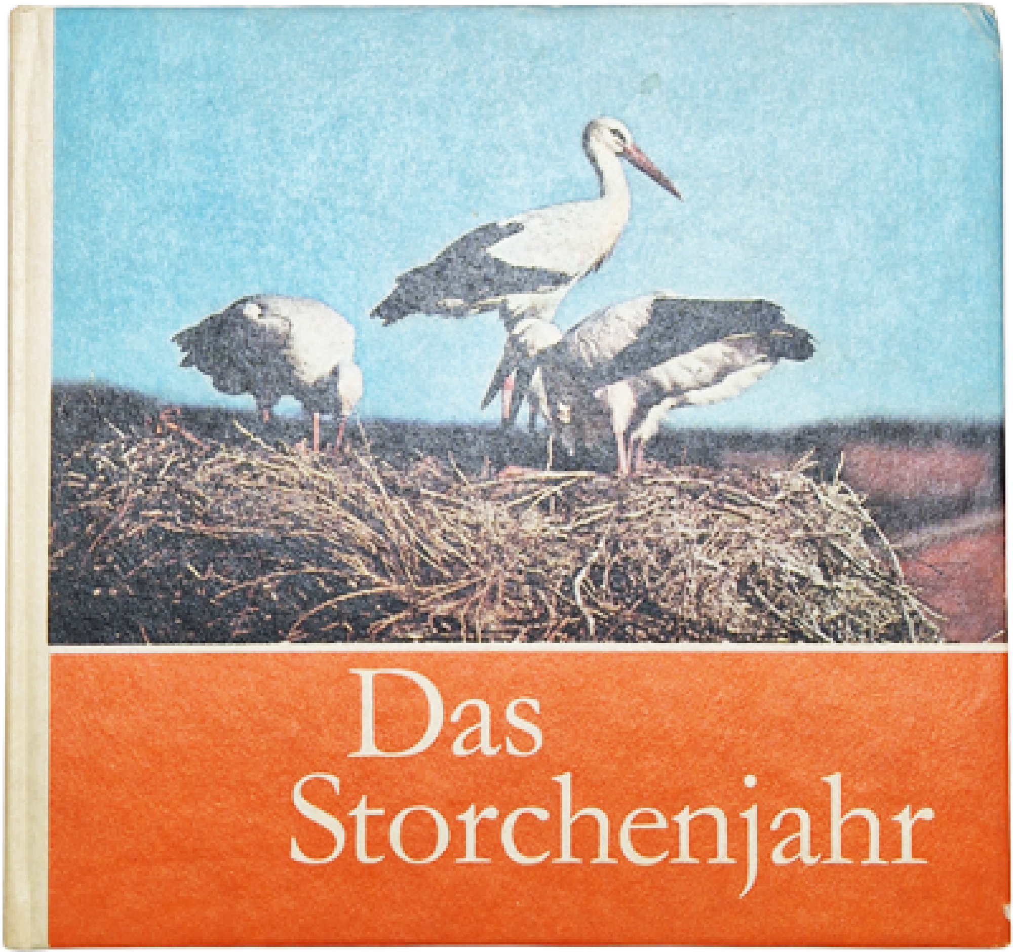 Das Storchenjahr – Claus Schönert – Der Weißstorch bei uns beobachtet und fotografiert