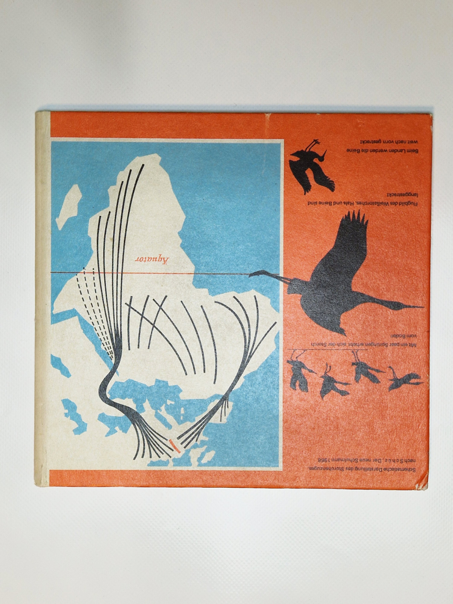 Das Storchenjahr – Claus Schönert – Der Weißstorch bei uns beobachtet und fotografiert