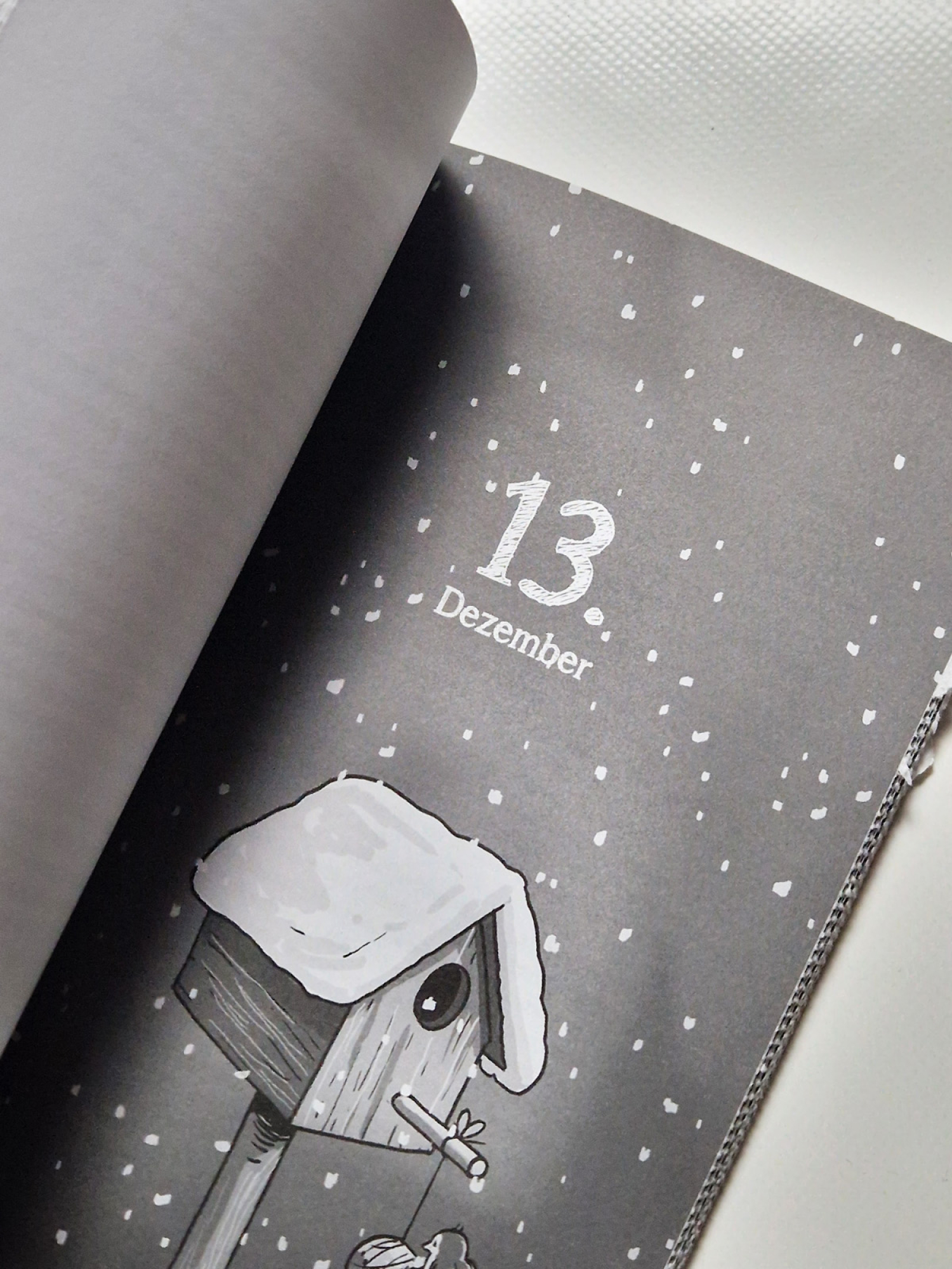 Ben & Lasse – Der Rucksack mit dem Diebesgut – Adventskrimi von Harry Voß - Advents-Kalender