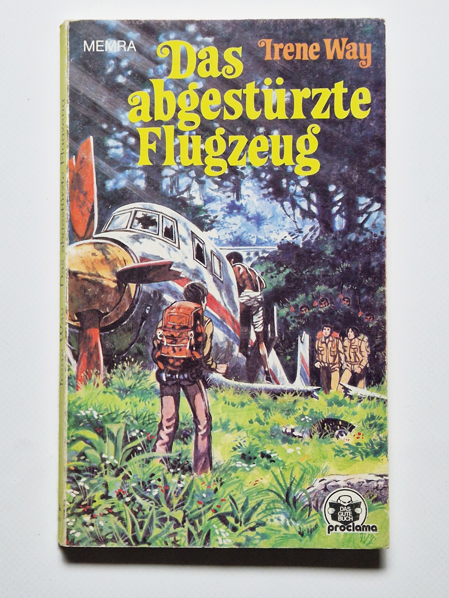 Das abgestürzte Flugzeug – Irene Way