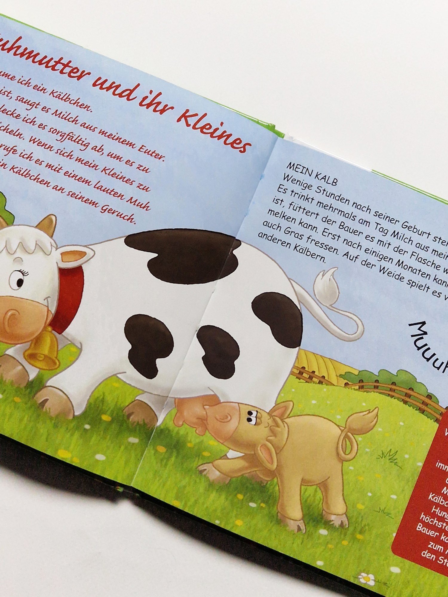 Die Kuh – Tiere auf der Weide – Atlas Verlag