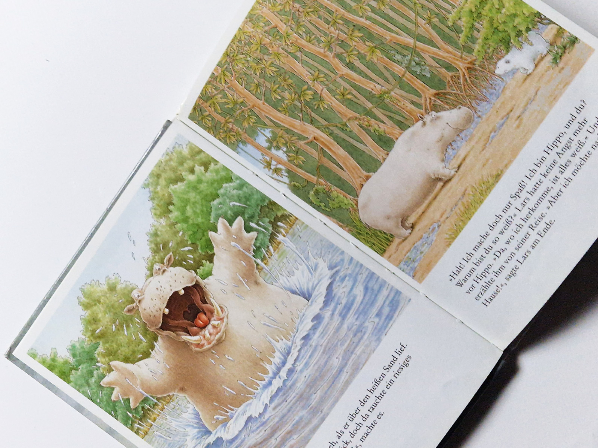 Kleiner Eisbär wohin fährst Du? Hans Beer