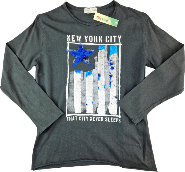 Langarmshirt Gr. 134/140 Zara dunkelgrau New York City Pailletten